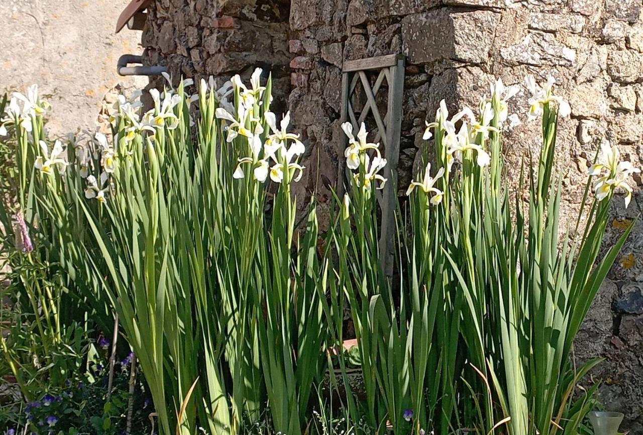 A La Campagne, Proche Du Puy Du Fou, Les Charmes De Castellariis Pouzauges